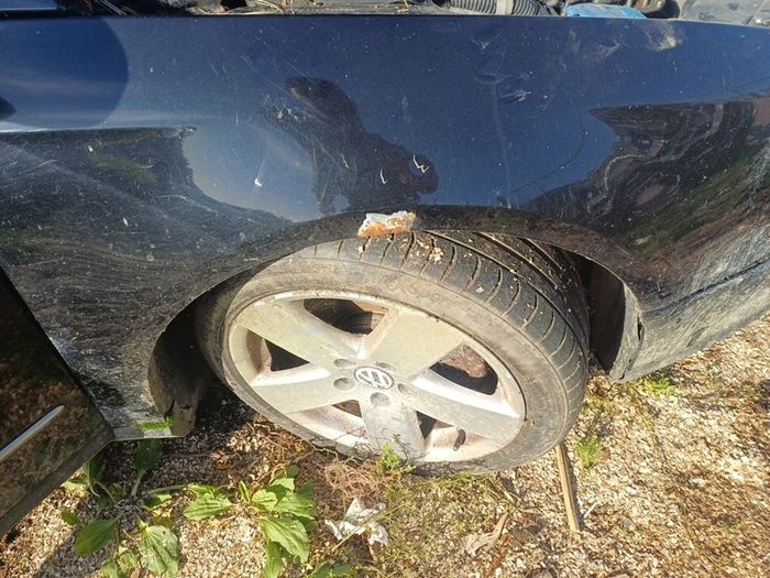 passat for breaking