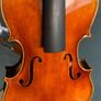 viola Image 3