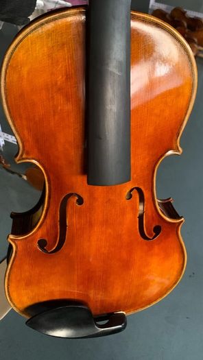 viola