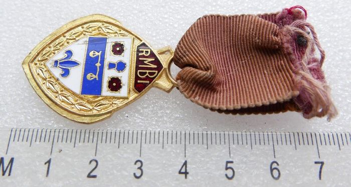Vintage 1957 Royal Masonic R.M.B.I. Steward Enameled Medal / Badge