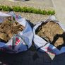 Topsoil Image 4