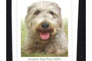 2009 Ireland European Dog Show, Dublin Self-Adhesive Commemorative Stamp Mint Never Hinged (MNH)