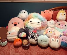 Squishmallows bundle 2