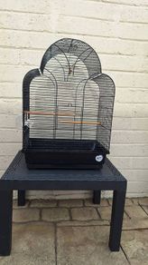 bird cage