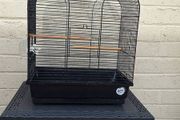 bird cage