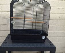bird cage