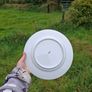 Limoges porcelain  plate postage possible Image 3