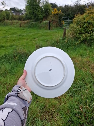 Limoges porcelain  plate postage possible