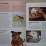 What is my dog thinking,Gwen Bailey,Hardback book.books.non fictionPet behaviour book Image 2