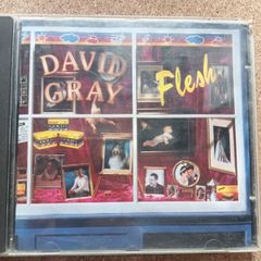 Flesh - David Gray CD