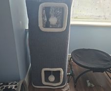 cat tower