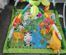 Baby Play Mat