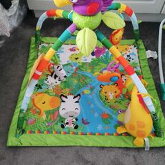 Baby Play Mat