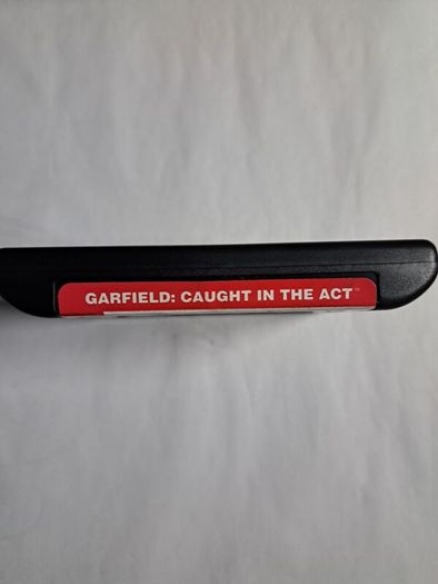 Garfield Caught in the act