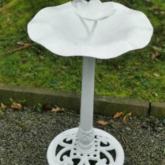 Old bird feeder with bird