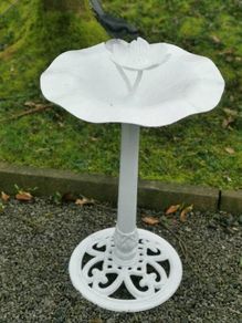 Old Bird feeder with bird