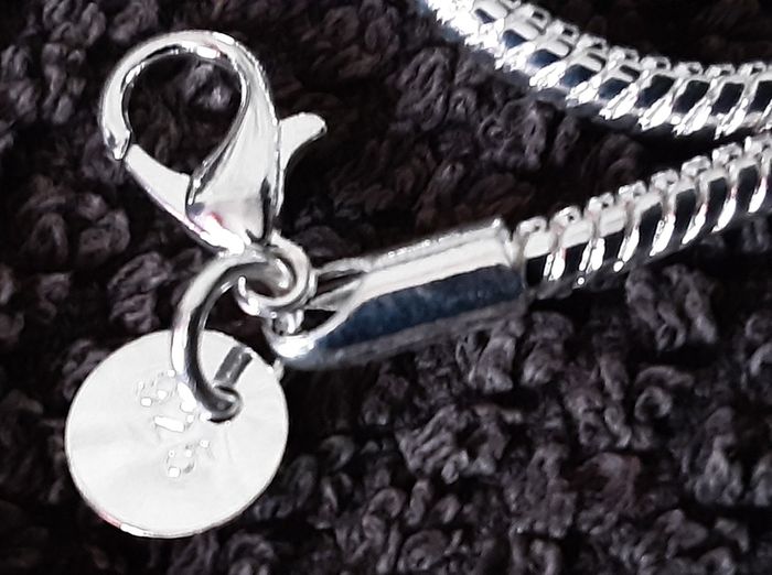 925 bracelet and chain