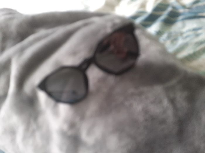 usa Oakley