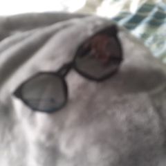 usa Oakley