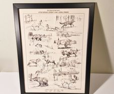 Arthur Morgan Legendary Animal Drawings - RDR2 - Framed Poster (30 x 40cm)