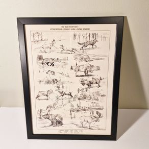 Arthur Morgan Legendary Animal Drawings - RDR2 - Framed Poster (30 x 40cm)