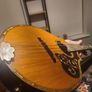 Mandolin Regal 1930's,  Beautiful Image 3