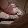 Addidas yeezy Image 5