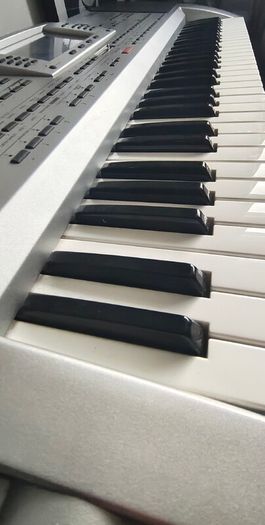 Korg Pa 80