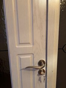 Internal Door