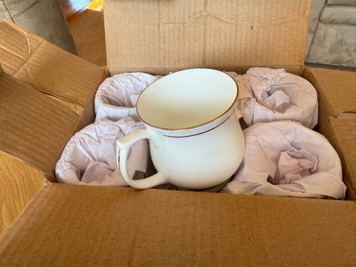 Set of 6 Mugs
