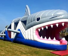 Bouncy Castles for sale