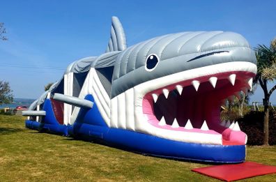 Bouncy Castles for sale