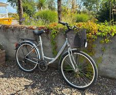 Ladies bicycle