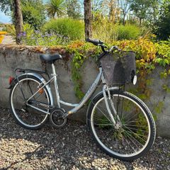 Ladies bicycle