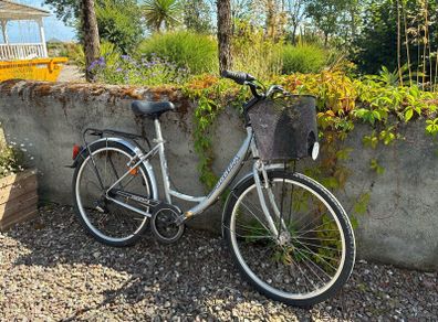 Ladies bicycle