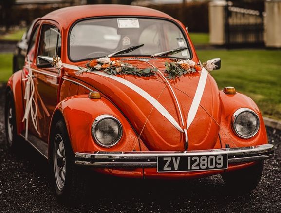 VW Vintage Beetle