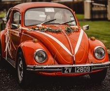 VW Vintage Beetle