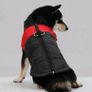 Dog Jackets/collars/Jumper Image 5