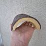 Reptile Turtle Climbing Artificial Hiding Cave Container Decor Landscape Arch Image 5