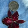 costume brooch Image 4