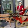 Commercial Xmas Sleighs Image 4