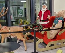 Commercial Christmas sleighs