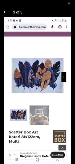 scatterbox canvas picture