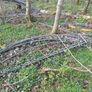 Poly tunnel frames Image 3