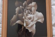 Rose flower