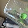 Glass pitcher Image 4