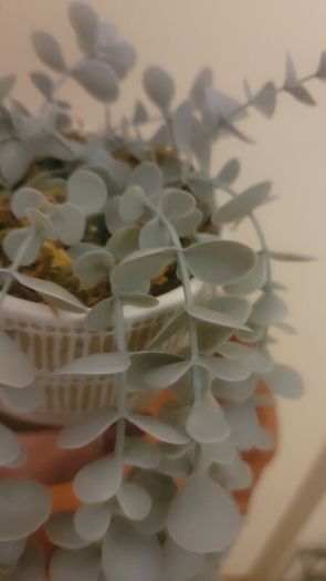Artificial Plants in Ceramic Pots x2