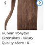 pony tail hair extensions Image 5