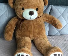 teddy bear