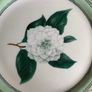 RHS Applebee Delf; Plates, cups & saucers Image 4
